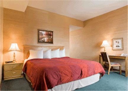 Hotel Garfield Cincinnati