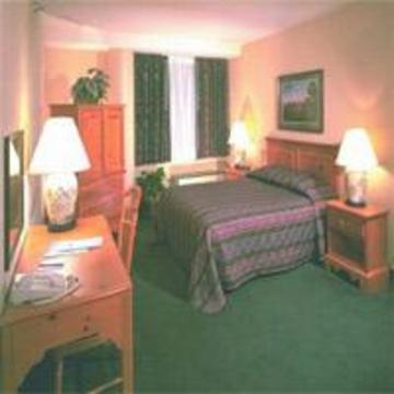 Garfield 3* Cincinnati